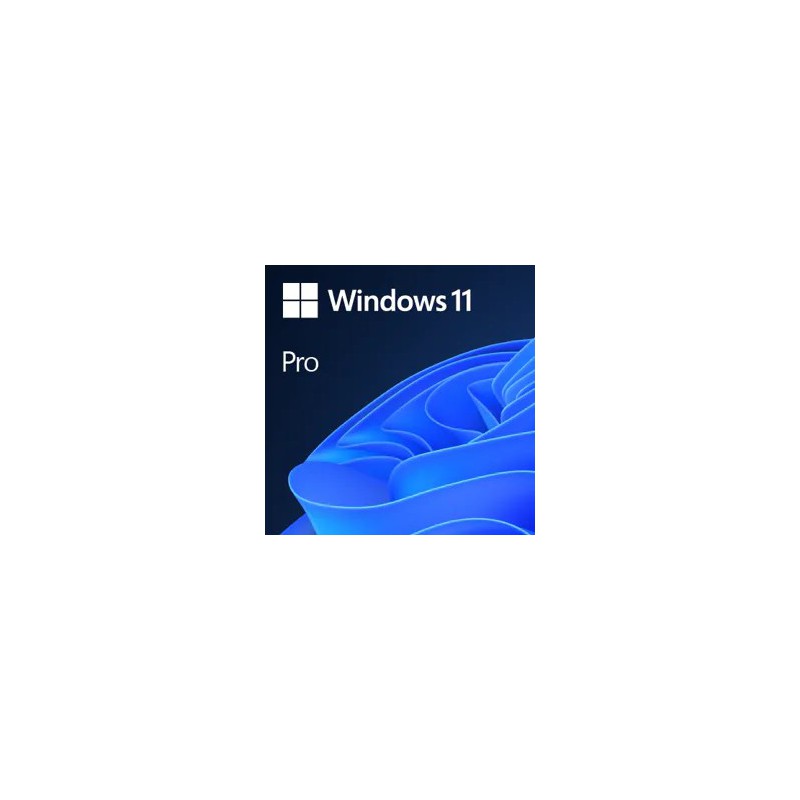 Windows Professional 11 64-bit All Lang Product Key