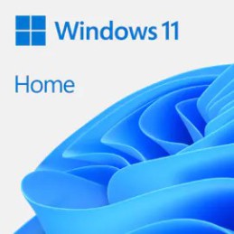 WIN HOME 11 64-bit All Lang Online Product Key ESD