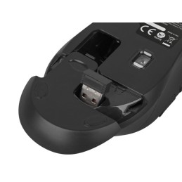 Zestaw klawiatura + mysz membranowa NATEC Stingray NZB-1440 (USB (Radio 2.4 GHz)  (US)  kolor czarny  optyczna  1600 DPI, 800 DP