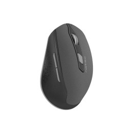 Mysz NATEC Siskin NMY-1423 (optyczna  2400 DPI  kolor czarny)