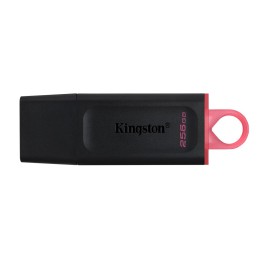KINGSTON FLASH 256GB USB3.2 Gen1 DataTraveler Exodia (B+P)