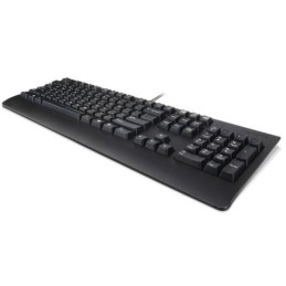 Lenovo Preferred Pro Ii Usb Keyboard-Black  .Us. English With Euro Symbol (103P)